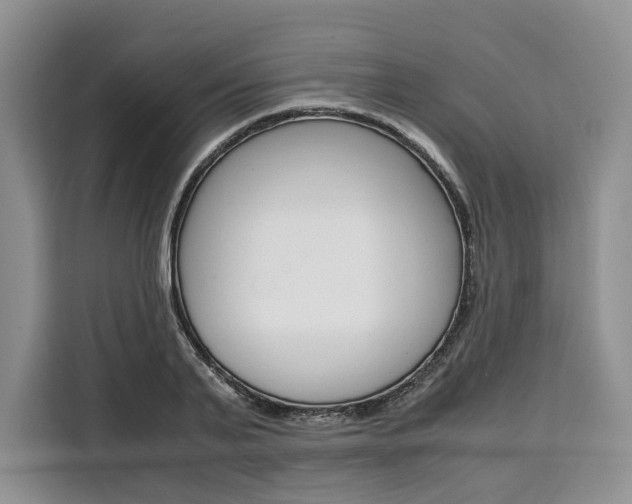 X0000110320791200905211205
