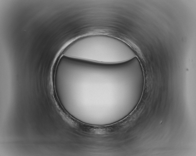 X0000110320792200905211205