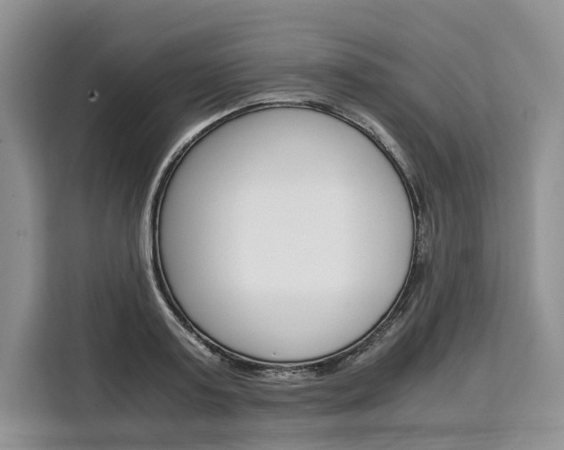 X0000110320795200905211205