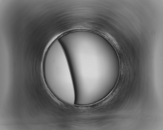 X0000110320796200905211205