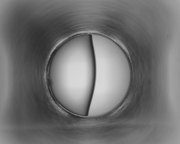 X0000110320797200905211204