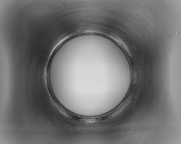 X0000110320798200905211204