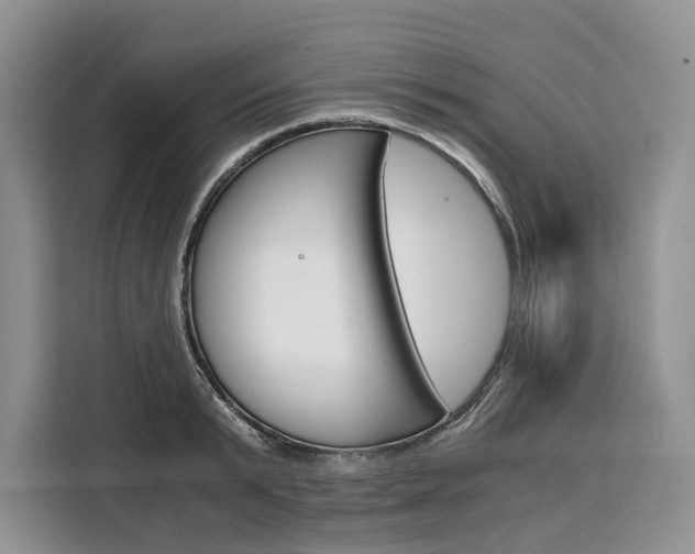 X0000110320799200905211204