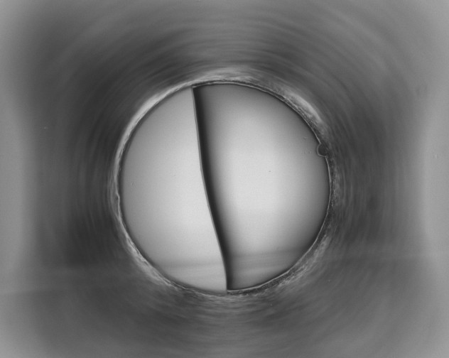 X0000110320800200905211204