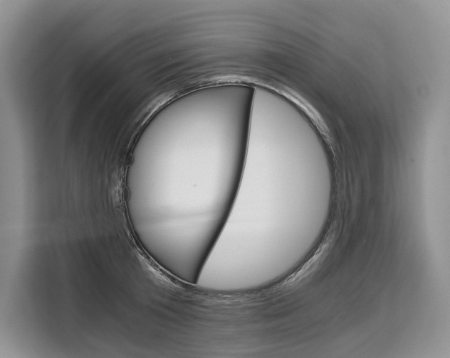 X0000110320801200905211204