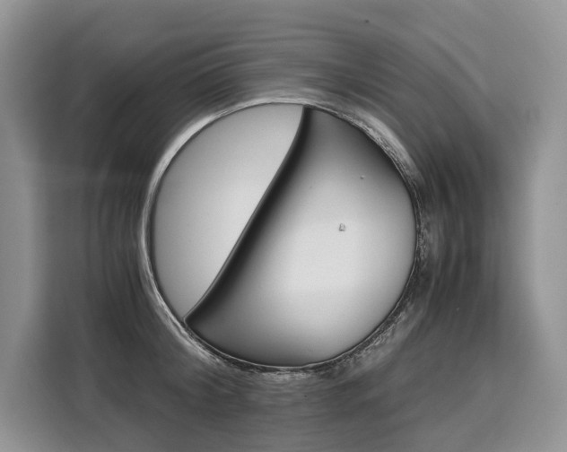 X0000110320804200905211204
