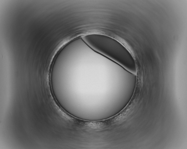 X0000110320805200905211204