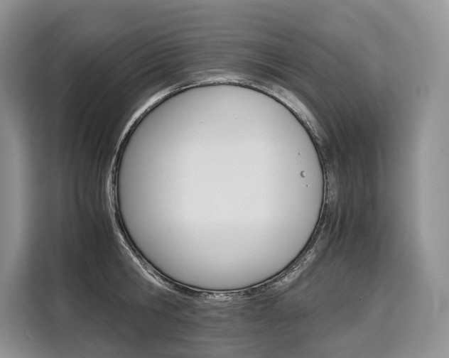 X0000110320806200905211204