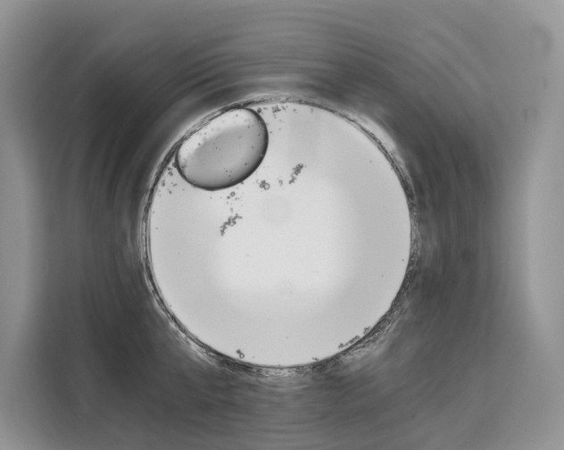 X0000110320807200905211204