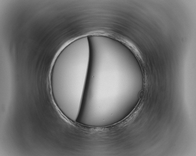 X0000110320808200905211204
