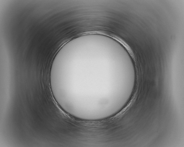 X0000110320809200905211204