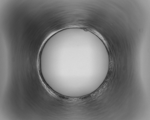 X0000110320811200905211204