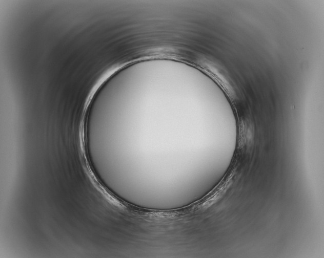 X0000110320812200905211204