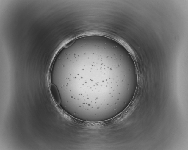 X0000110320813200905211204