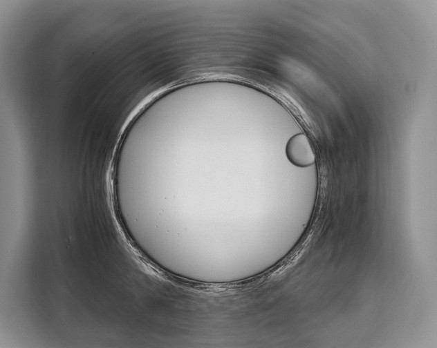 X0000110320814200905211204