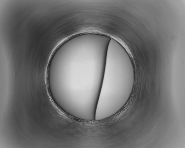 X0000110320815200905211204