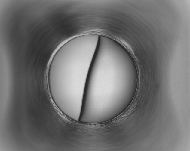 X0000110320816200905211204