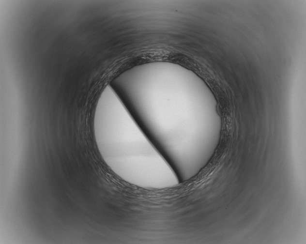 X0000110320818200905211204