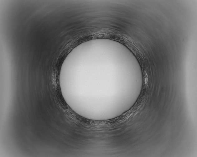 X0000110320819200905211204