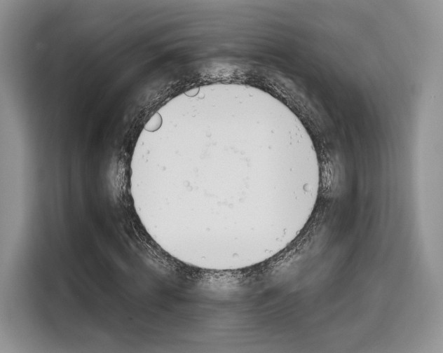 X0000110320820200905211204