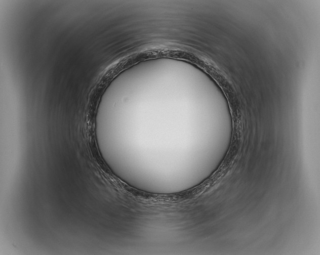 X0000110320822200905211204