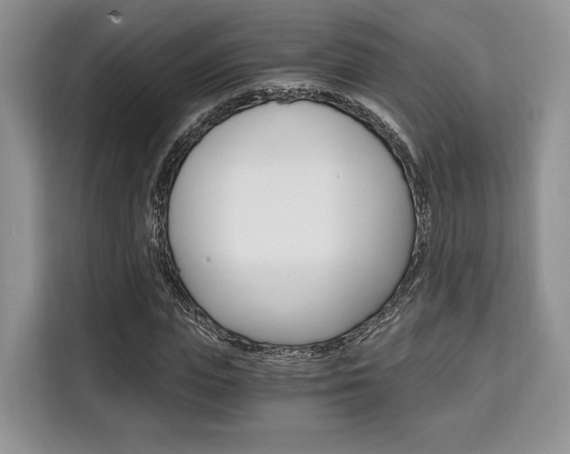 X0000110320823200905211204