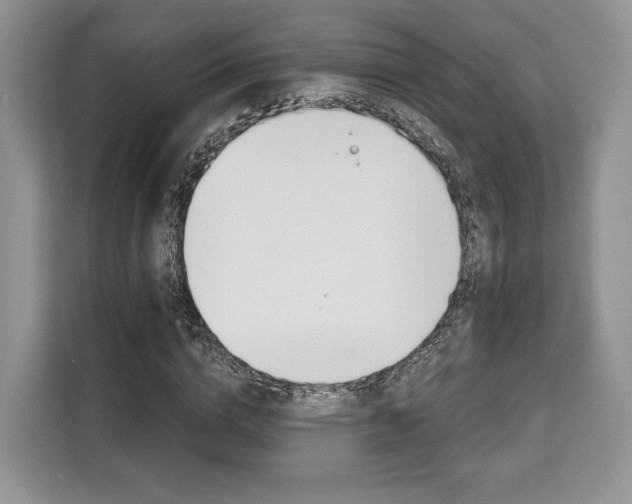 X0000110320824200905211204