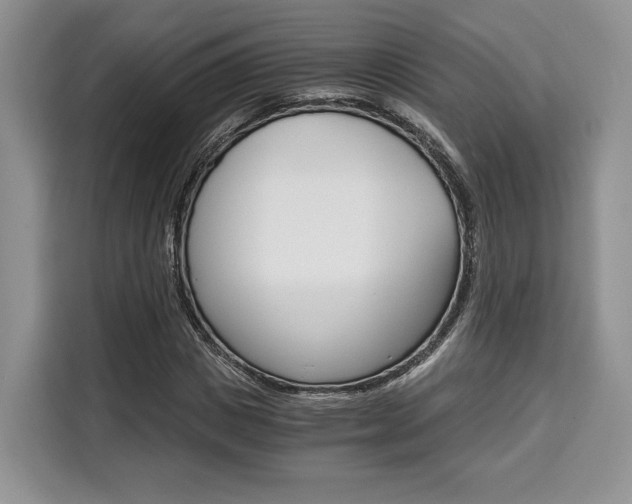 X0000110320825200905211204