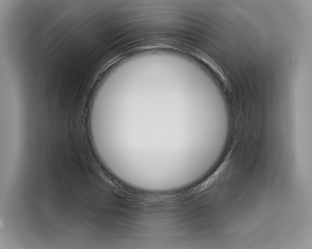 X0000110320826200905211204