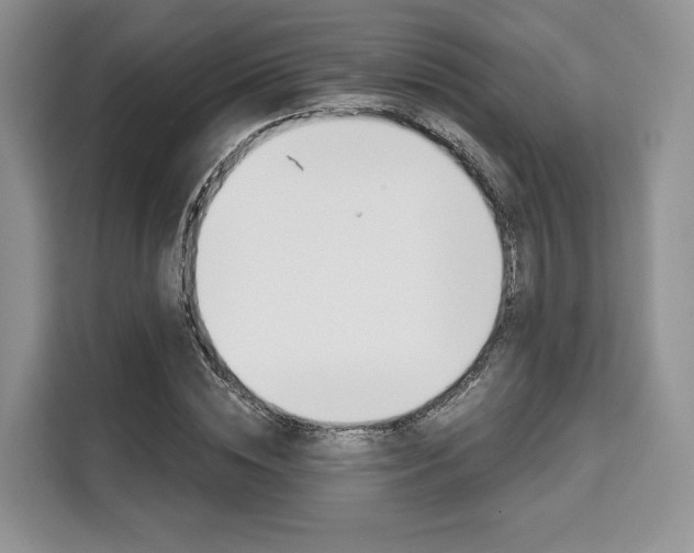 X0000110320828200905211204