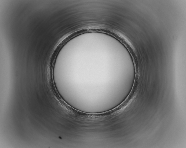 X0000110320829200905211204