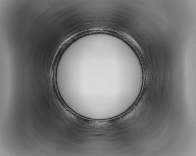 X0000110320831200905211204