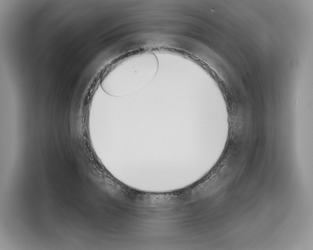 X0000110320832200905211204