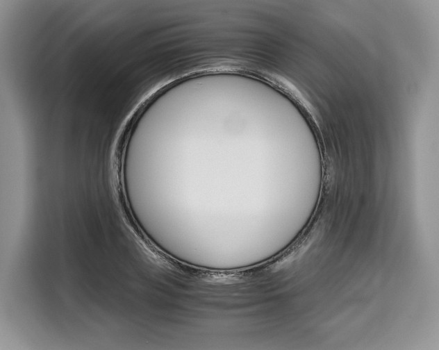 X0000110320835200905211204