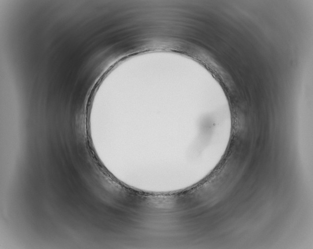 X0000110320836200905211204