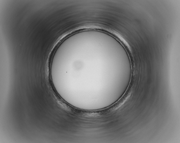 X0000110320837200905211204
