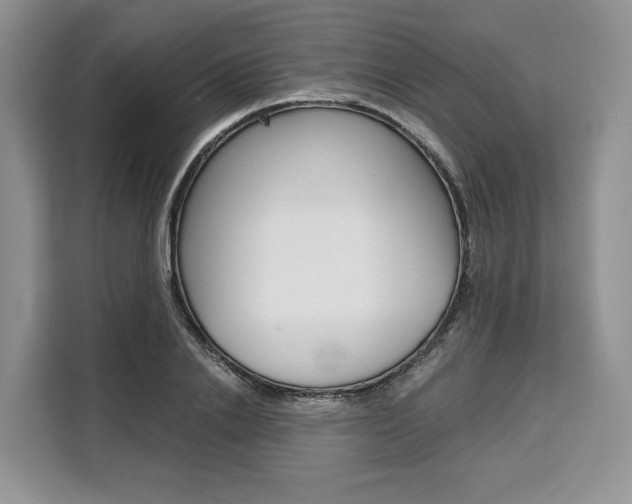 X0000110320838200905211204