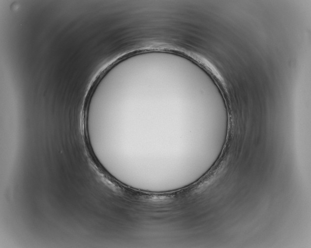 X0000110320839200905211204