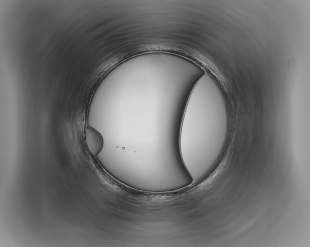 X0000110320841200905211204