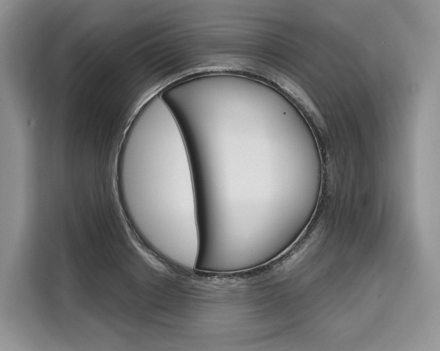 X0000110320842200905211204