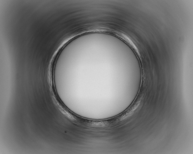 X0000110320843200905211204