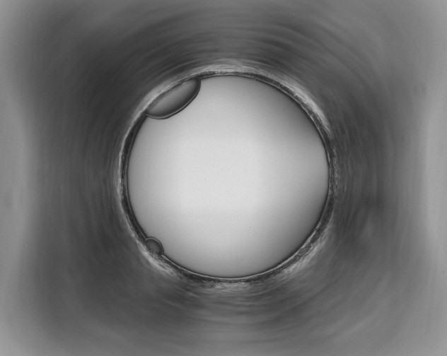 X0000110320845200905211204