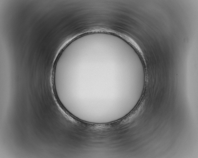 X0000110320847200905211204