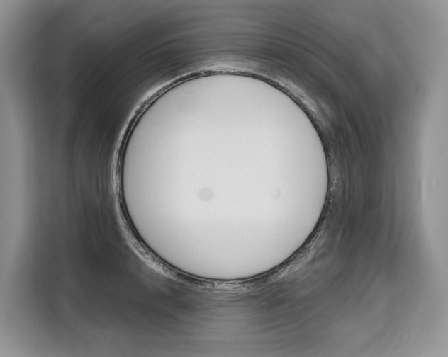 X0000110320848200905211204
