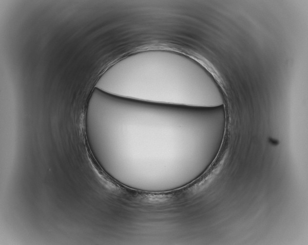 X0000110320849200905211204