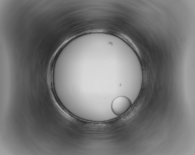 X0000110320851200905211204