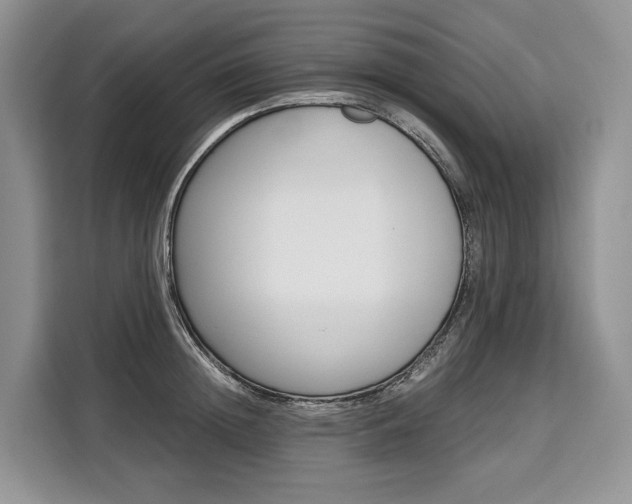 X0000110320852200905211204