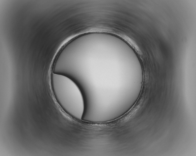 X0000110320854200905211204