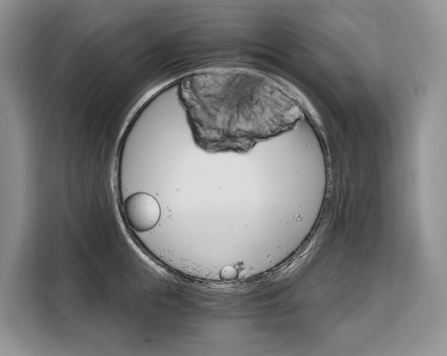 X0000110320855200905211204