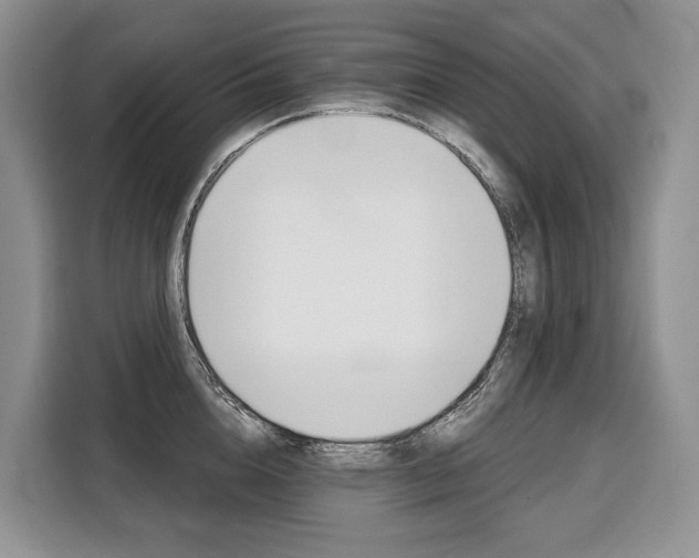 X0000110320856200905211204